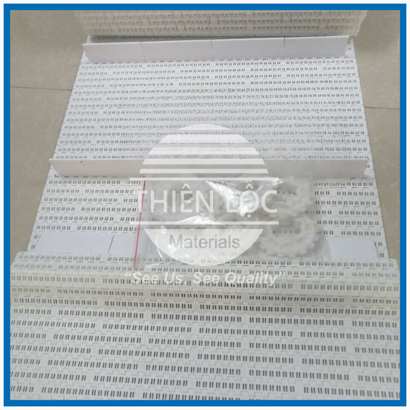 Băng tải nhựa, băng tải xích nhựa Modular Belt - Dùng cho nghành nhựa thực phẩm