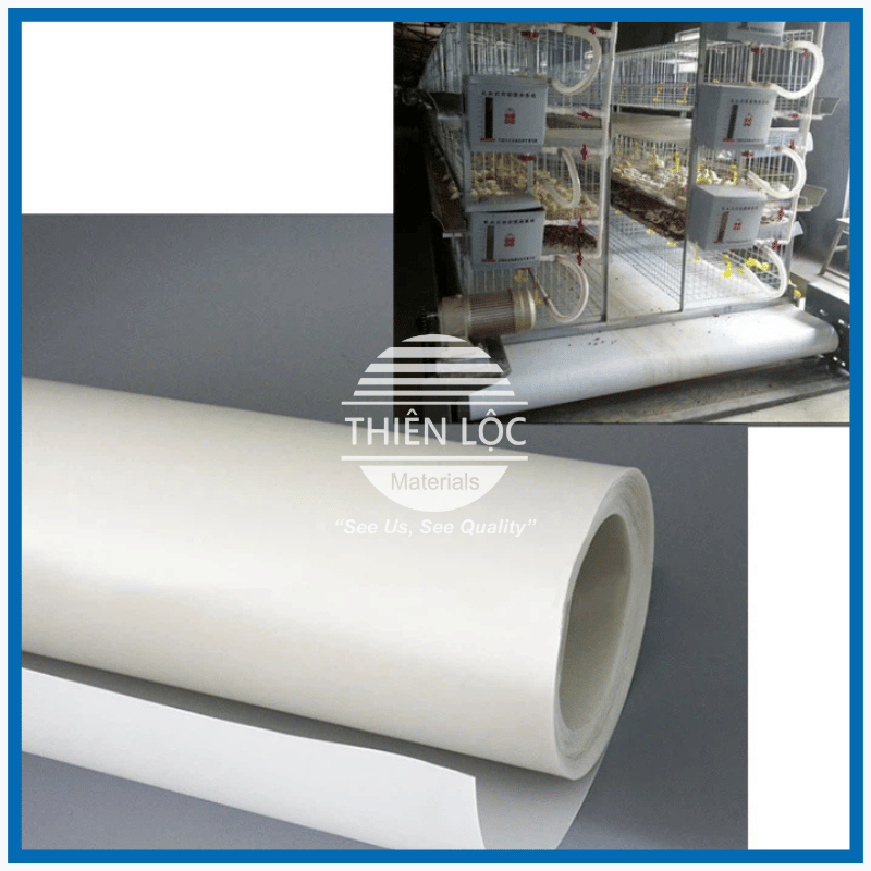 Băng Tải Thu Gom Phân Gà