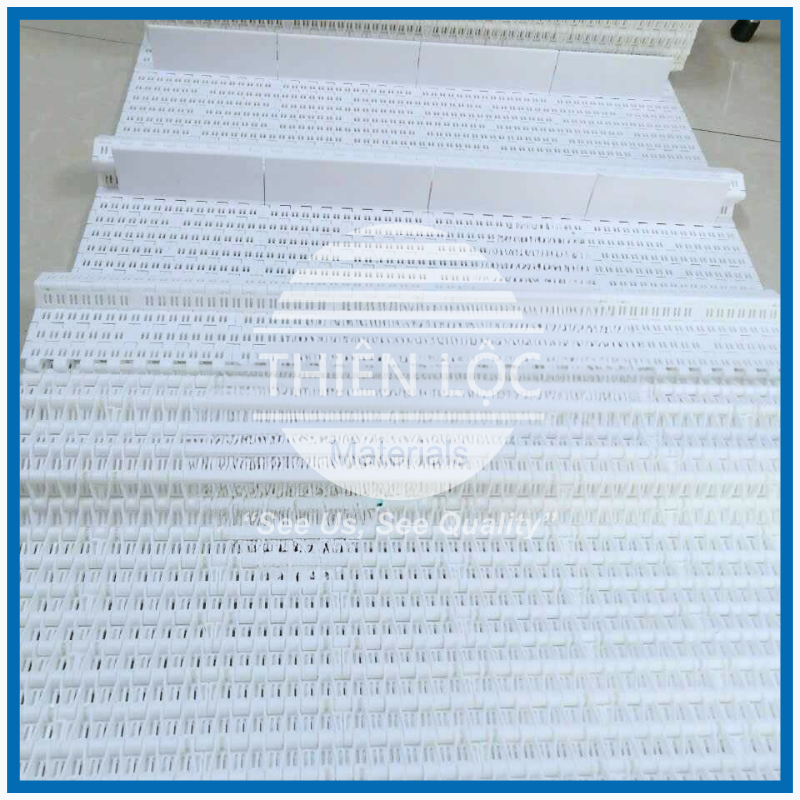 Băng tải nhựa, băng tải xích nhựa (Modular Belt)