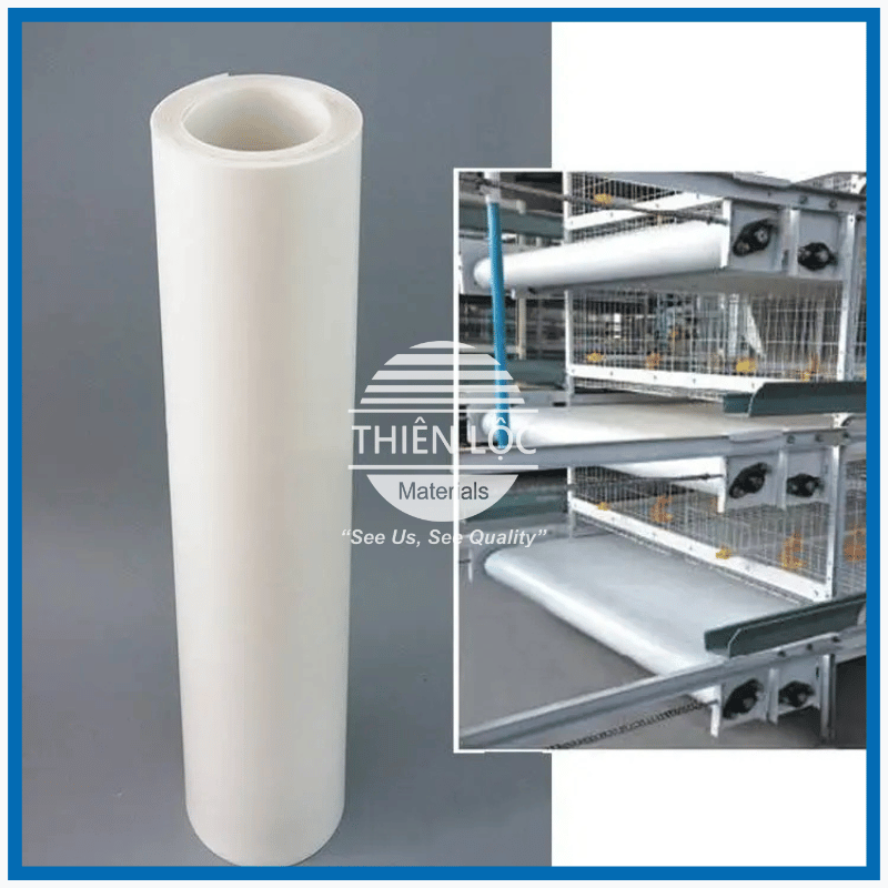 Băng Tải Dọn Phân Gà